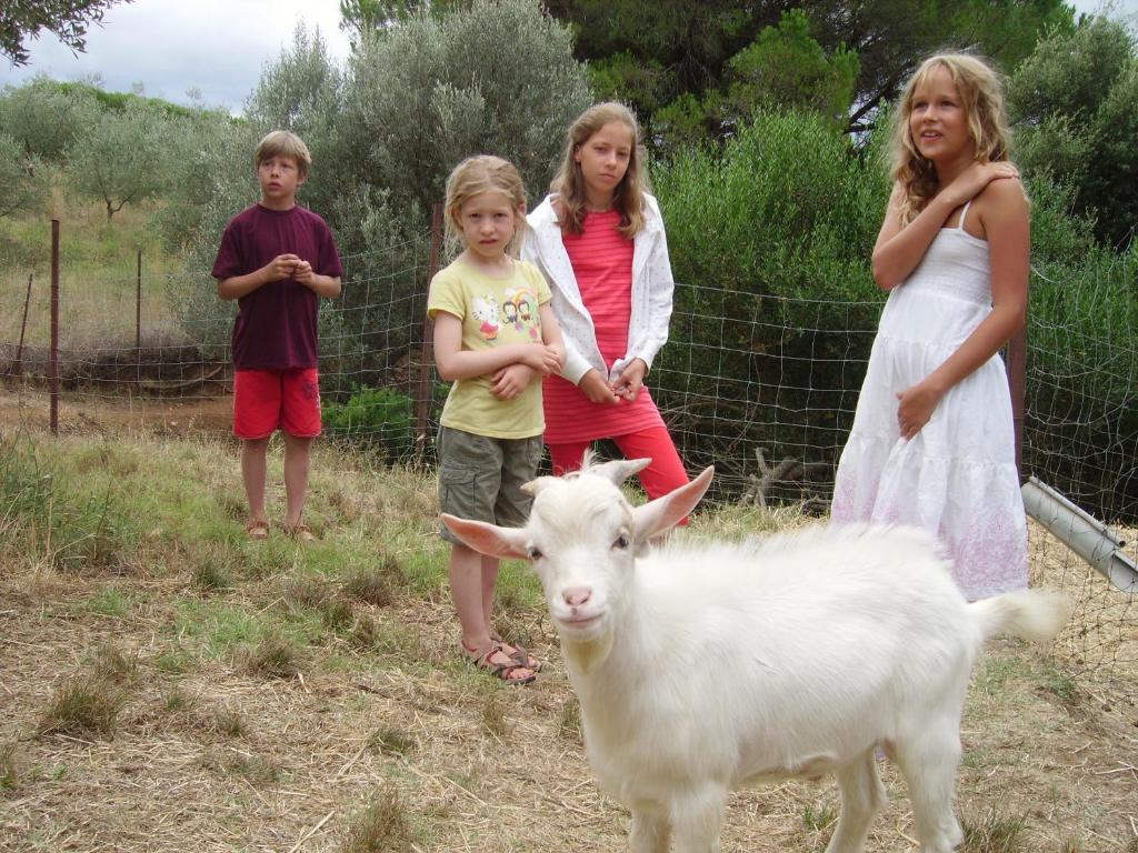 Agriturismo Le Serre Riparbella Εξωτερικό φωτογραφία
