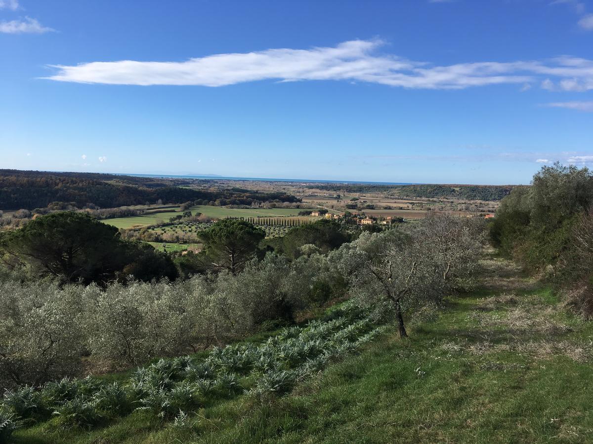 Agriturismo Le Serre Riparbella Εξωτερικό φωτογραφία